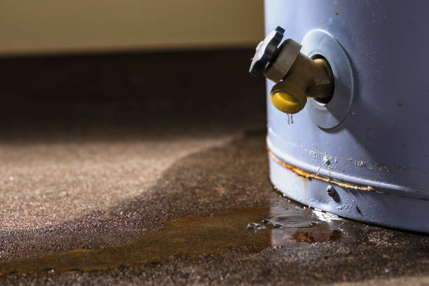 Best Water damage restoration specialists  in Orchards, WA