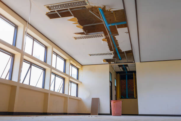 Best Fire Damage Restoration  in Orchards, WA