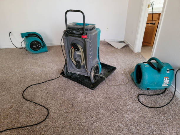 Best Water damage restoration near me  in Orchards, WA