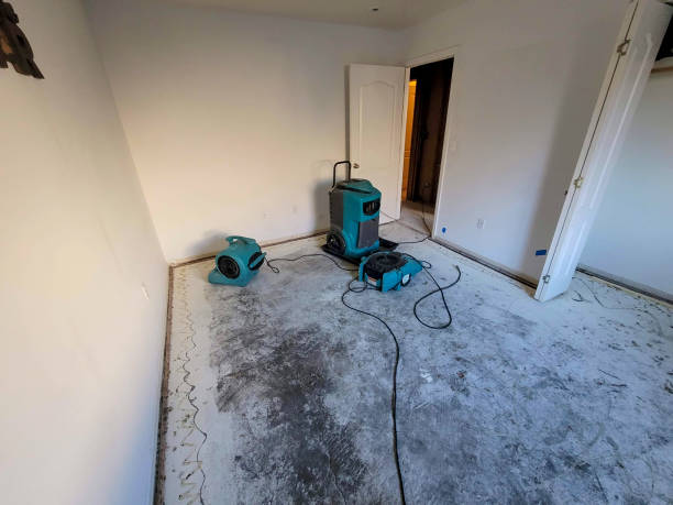 Fire Damage Restoration in Orchards, WA