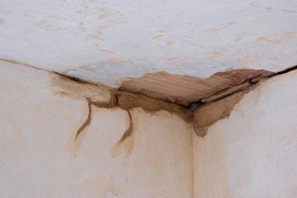 Best Ceiling water damage repair  in Orchards, WA