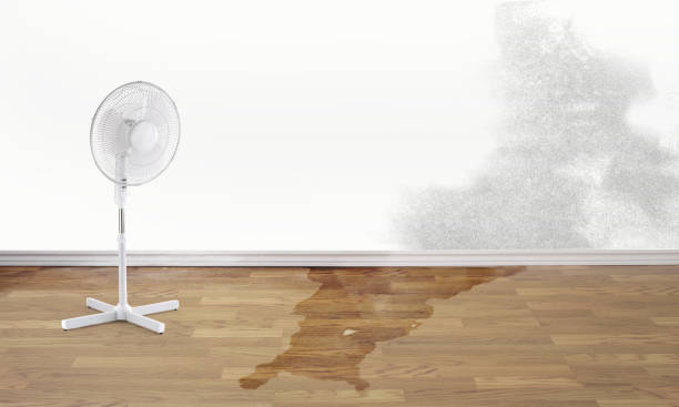 Best Water damage restoration experts  in Orchards, WA